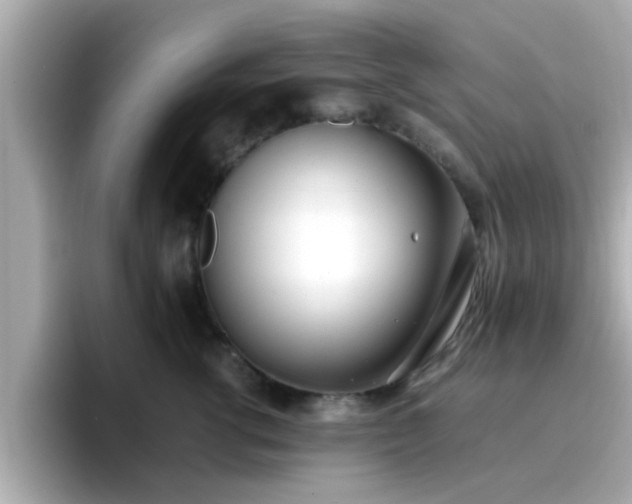 X0000096670762200802121151