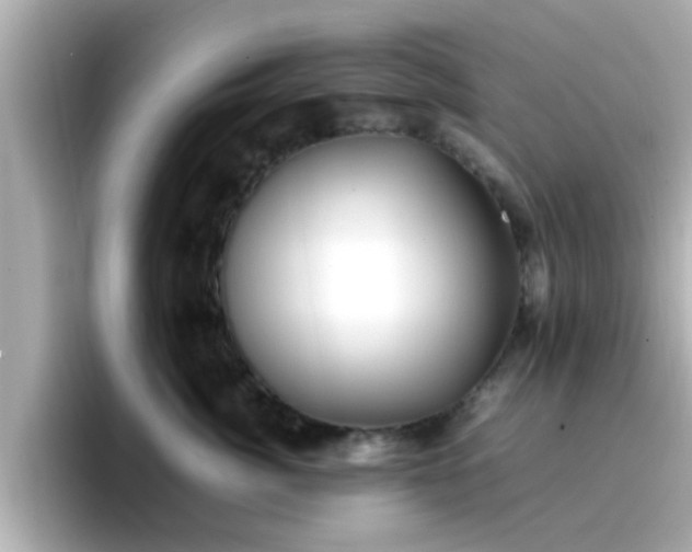 X0000096670764200802121151