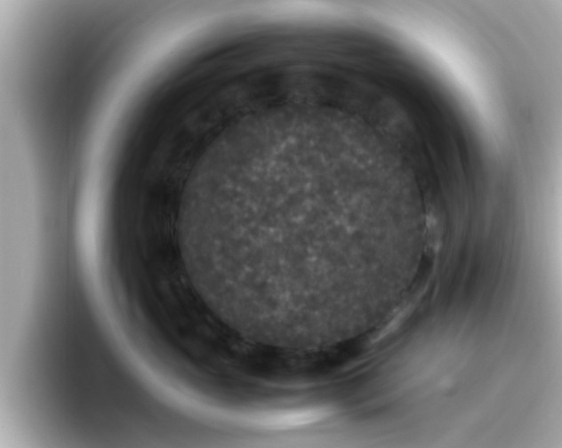 X0000096670765200802121151