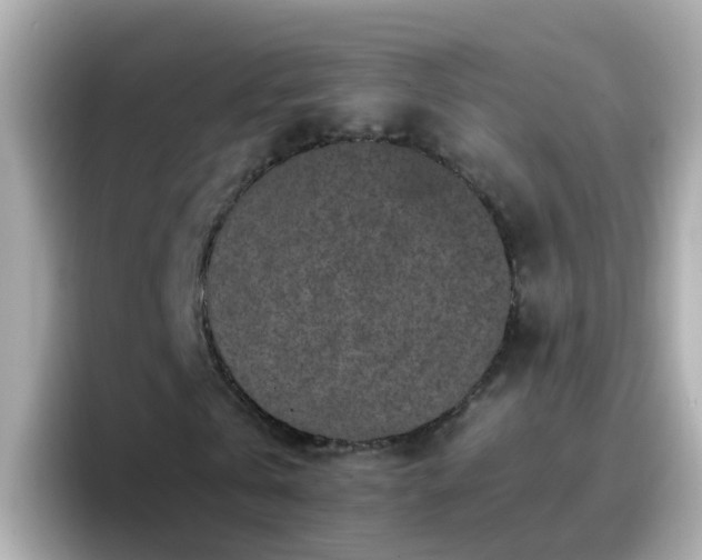 X0000096670769200802121150