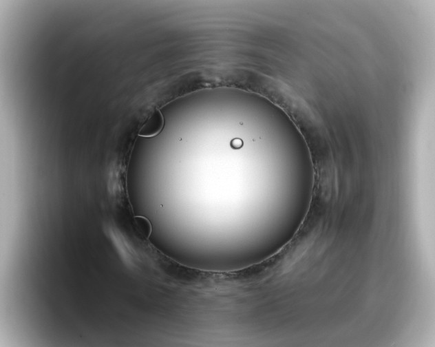 X0000096670770200802121150