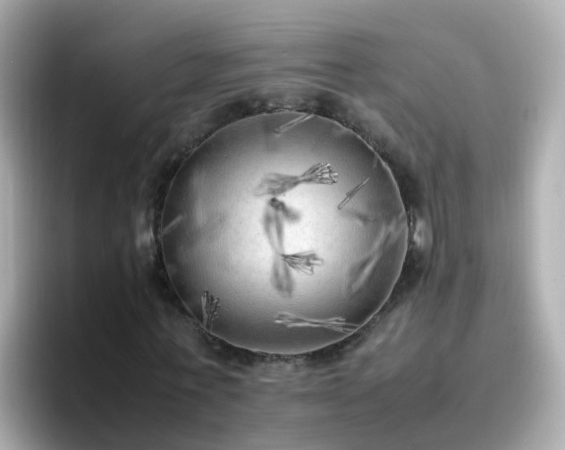 X0000096670771200802121150