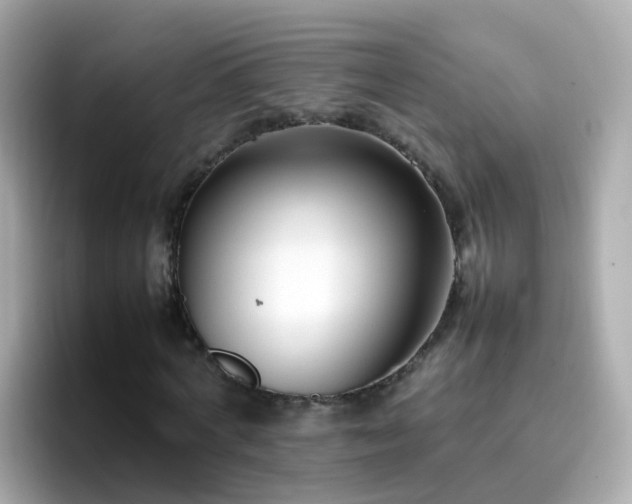 X0000096670772200802121150