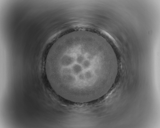 X0000096670775200802121150