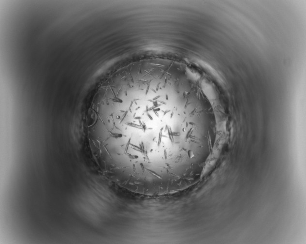 X0000096670776200802121150
