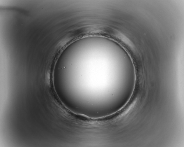 X0000096670777200802121150
