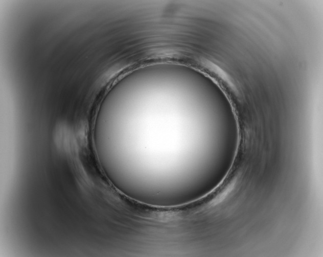 X0000096670778200802121150