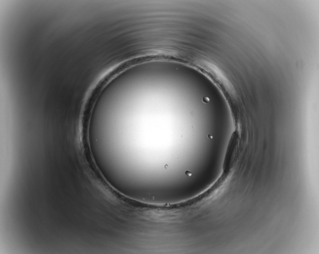 X0000096670780200802121150