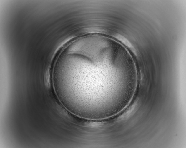 X0000096670782200802121150