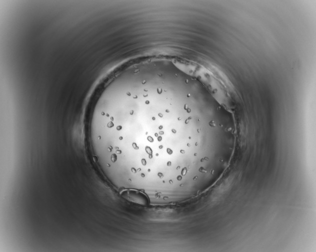 X0000096670784200802121150