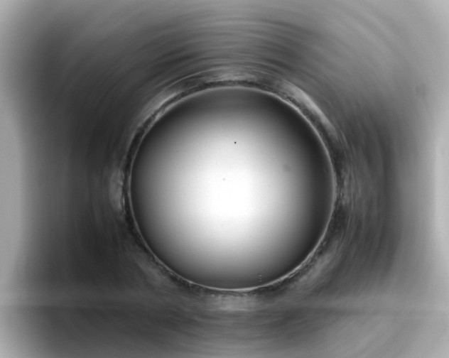 X0000096670786200802121150