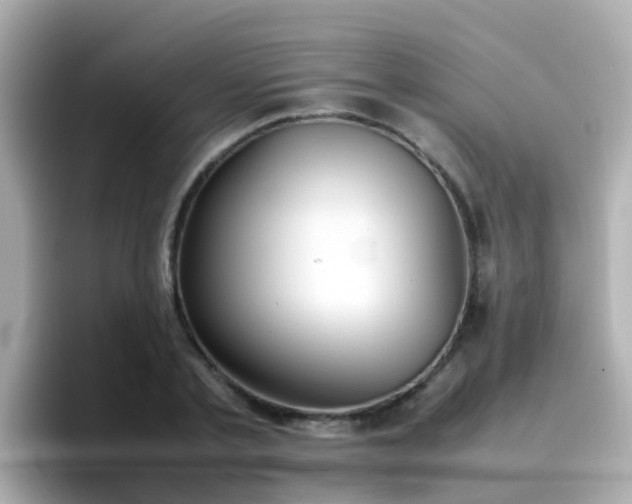 X0000096670789200802121150