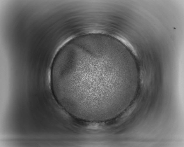 X0000096670790200802121150