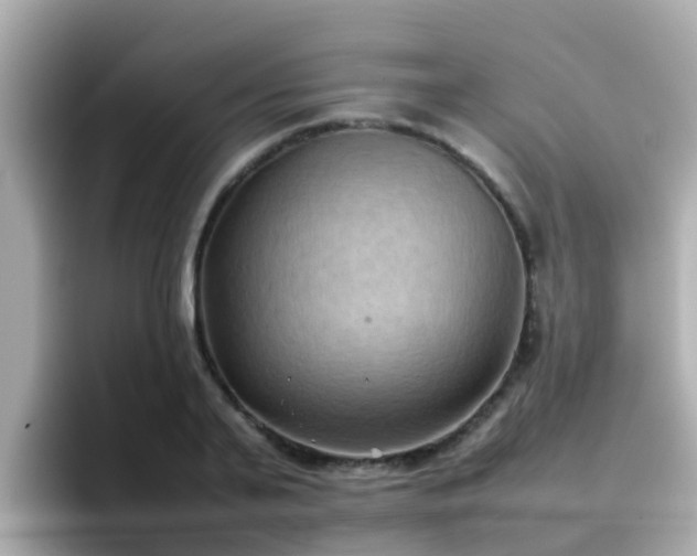 X0000096670791200802121150
