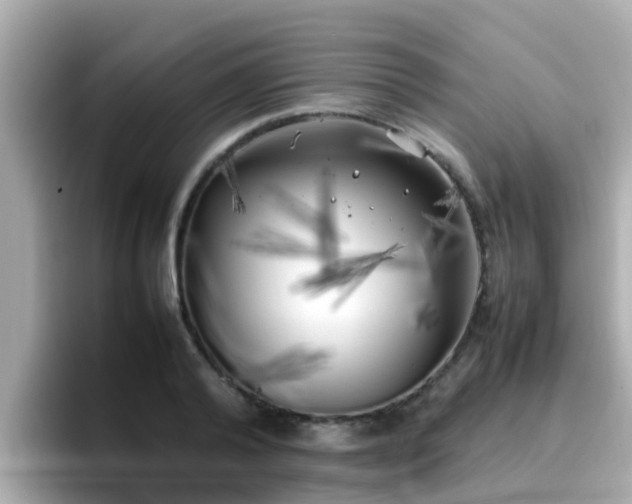 X0000096670792200802121150