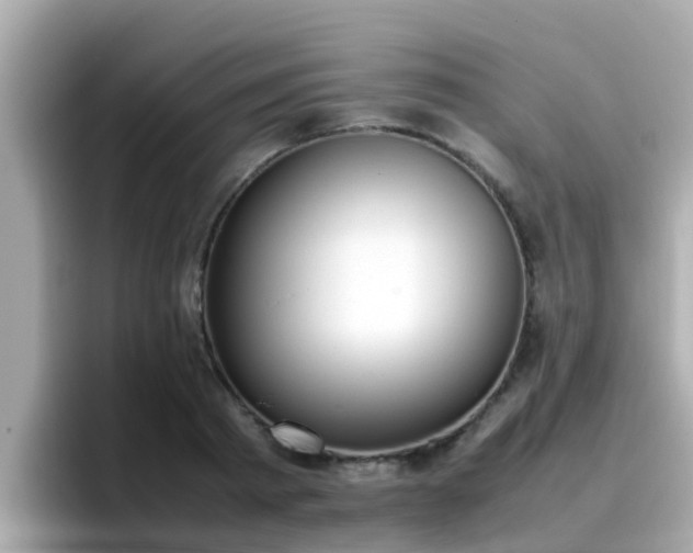 X0000096670793200802121150