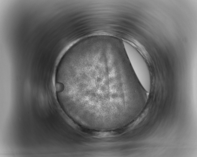 X0000096670796200802121150