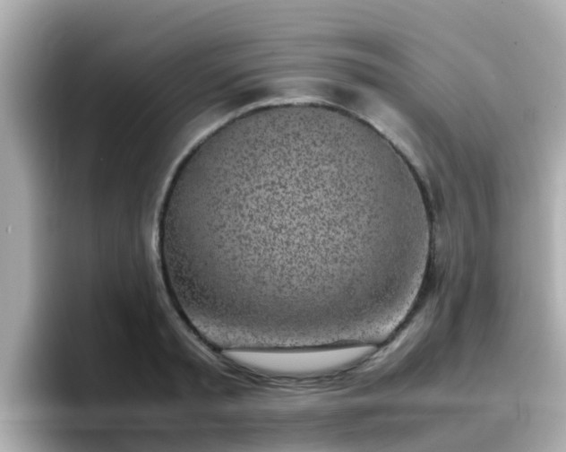 X0000096670797200802121150