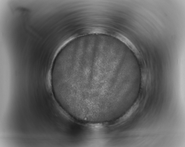 X0000096670798200802121150