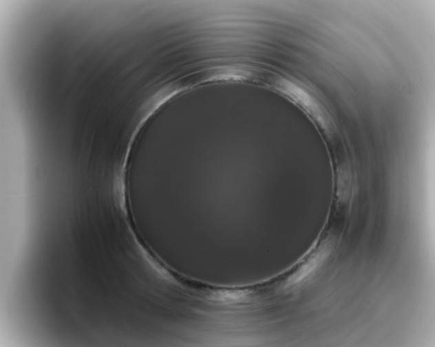 X0000096670802200802121150