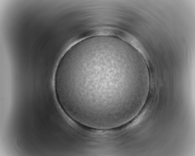 X0000096670803200802121150
