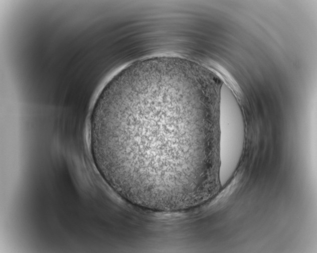 X0000096670804200802121150