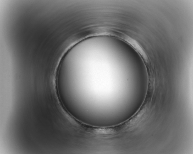 X0000096670805200802121150