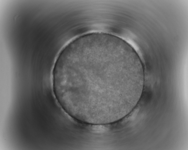 X0000096670807200802121150