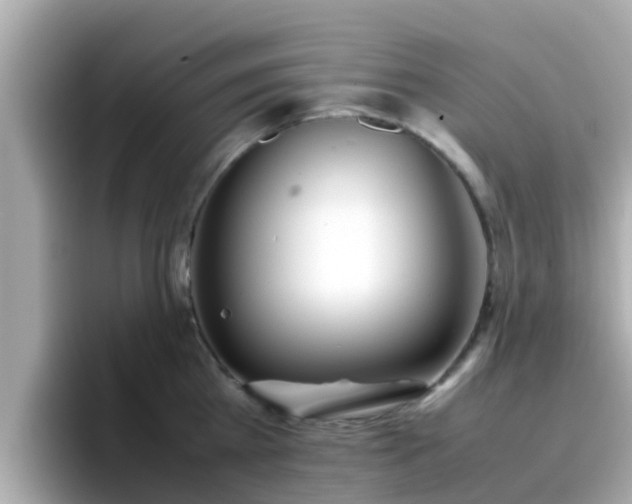 X0000096670809200802121150