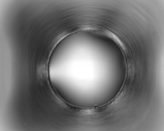 X0000096670810200802121150