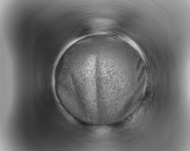 X0000096670811200802121150