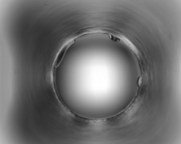 X0000096670813200802121150