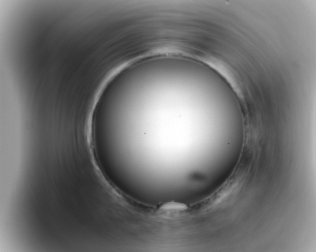 X0000096670815200802121150