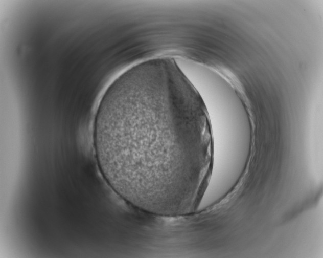 X0000096670816200802121150