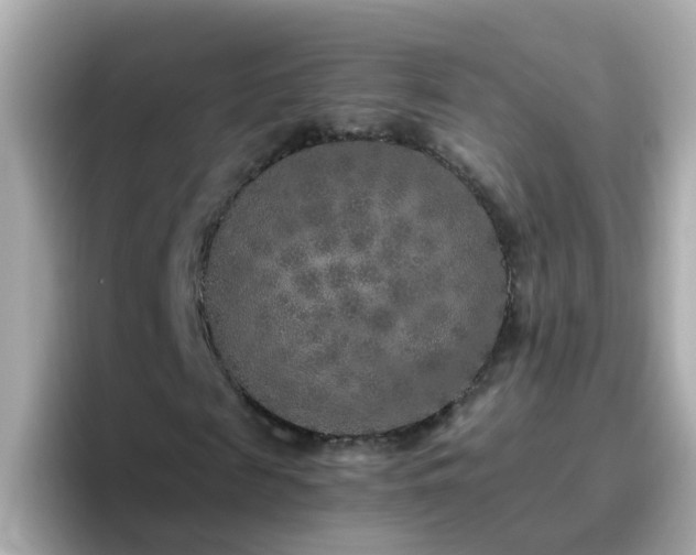 X0000096670817200802121149