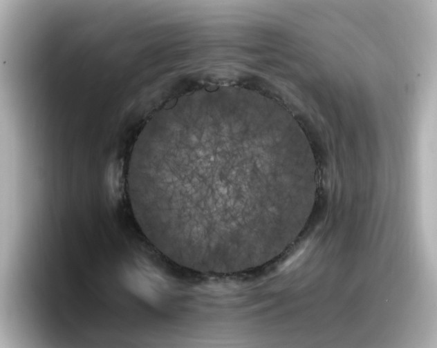 X0000096670818200802121149