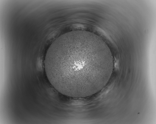 X0000096670819200802121149