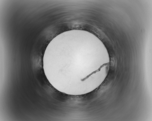 X0000096670820200802121149