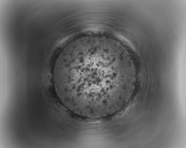 X0000096670822200802121149
