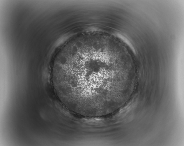 X0000096670823200802121149