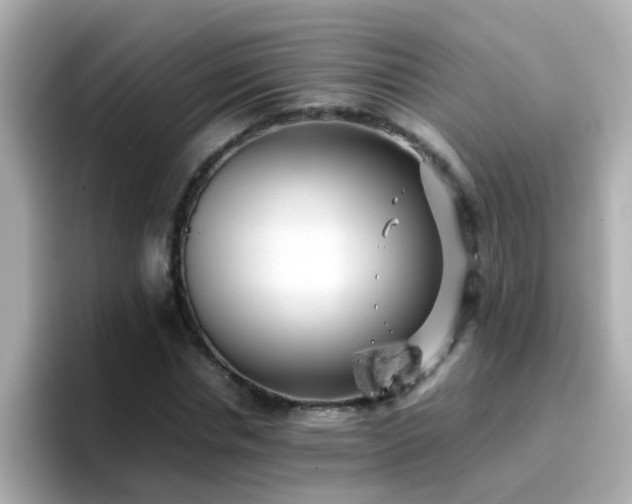 X0000096670826200802121149