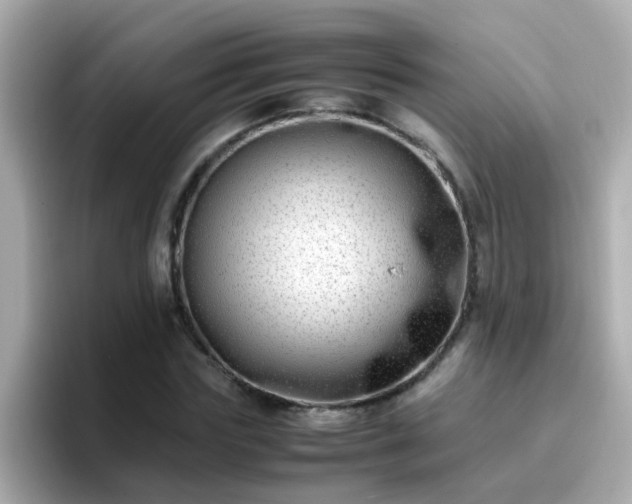 X0000096670827200802121149