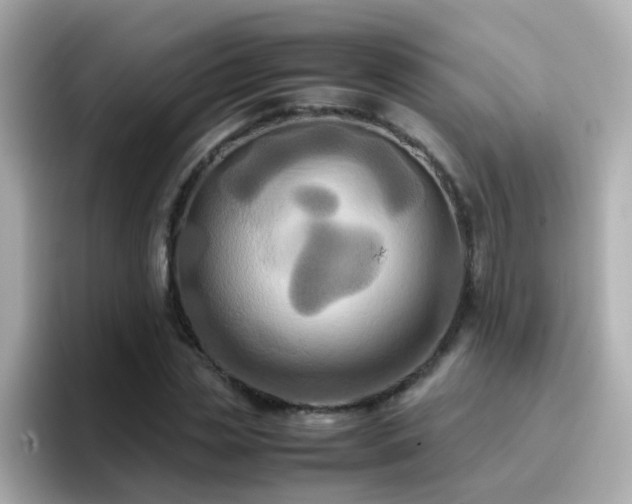 X0000096670829200802121149