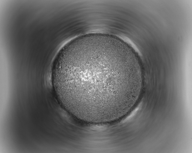 X0000096670830200802121149