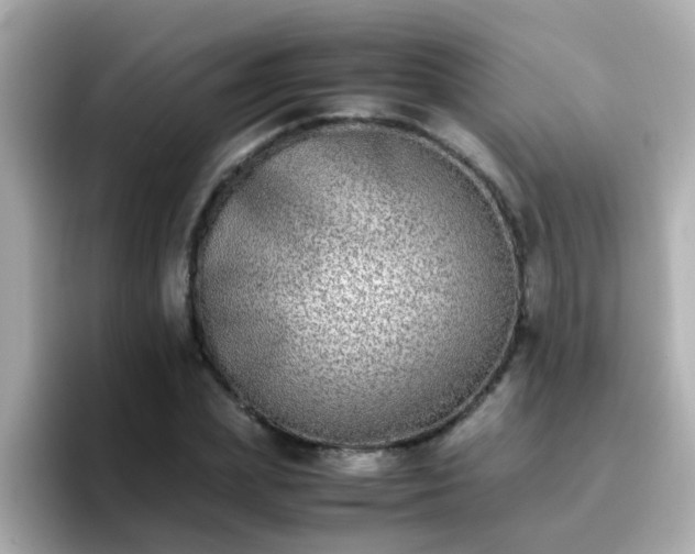 X0000096670831200802121149