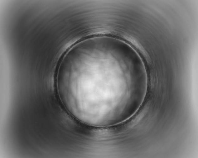 X0000096670834200802121149