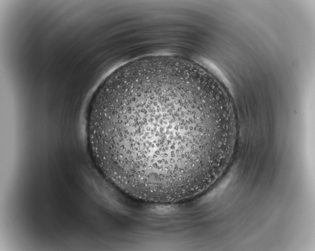 X0000096670835200802121149