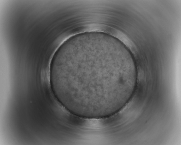 X0000096670836200802121149