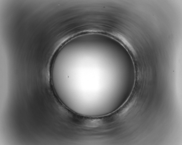 X0000096670837200802121149