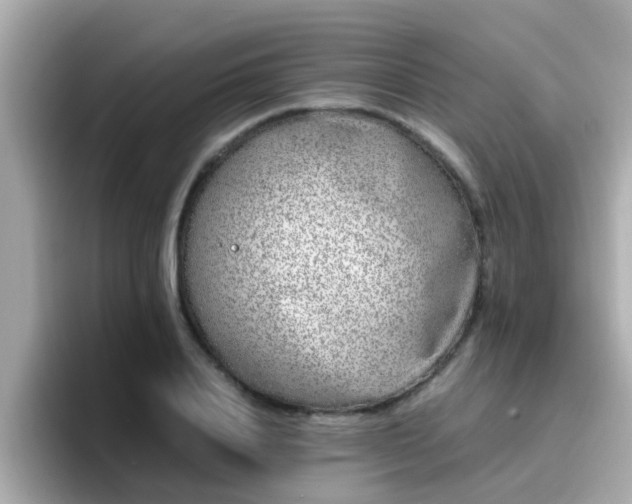 X0000096670840200802121149